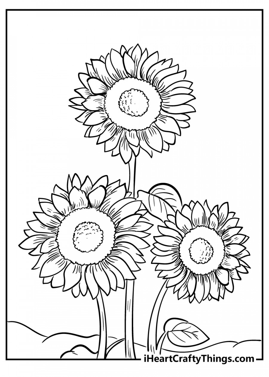 Sunflower Coloring Pages (% Free Printables)