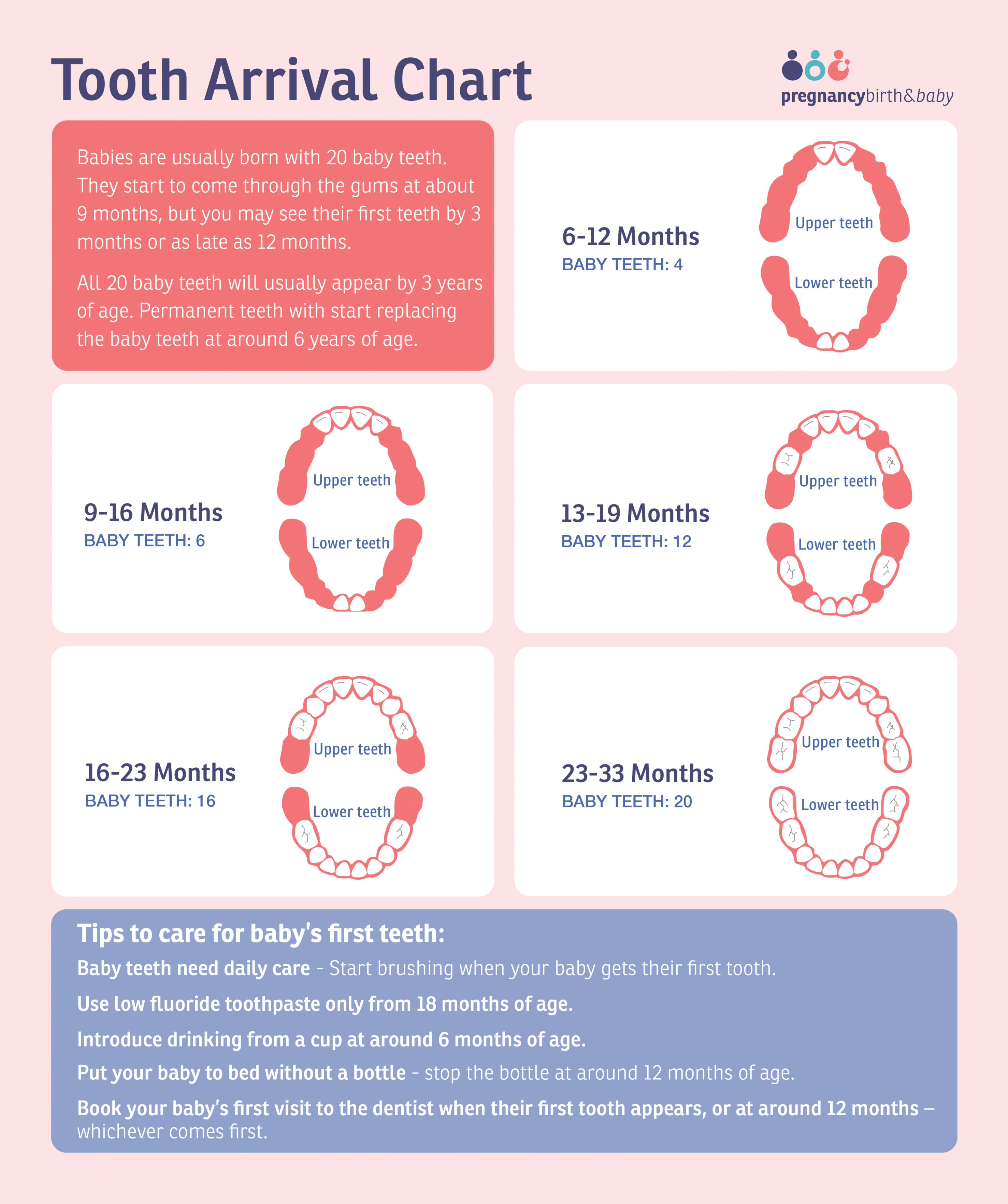 Teething  Pregnancy Birth and Baby