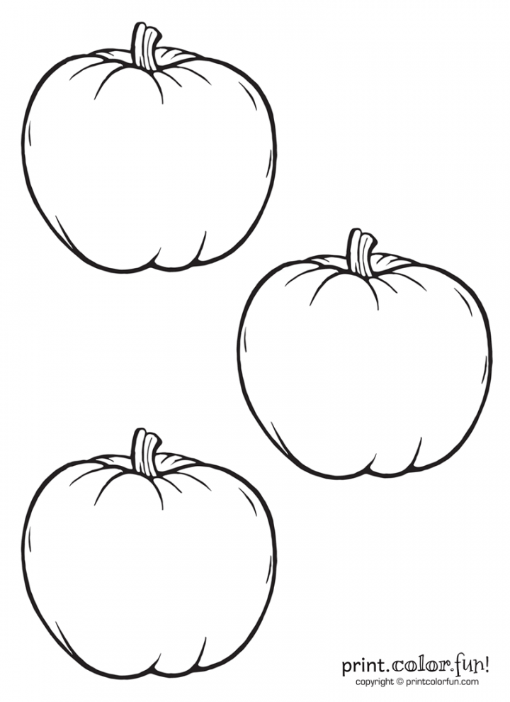 Three-blank-pumpkins  Pumpkin coloring pages, Pumpkin coloring