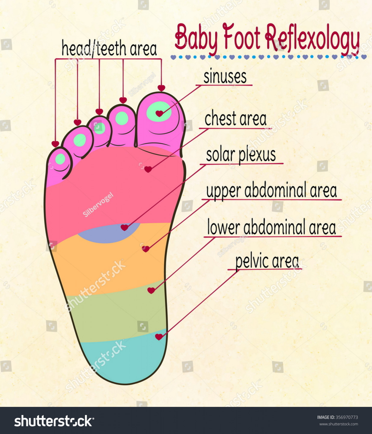 Vector Illustration Babys Feet Reflex Zones Stock Vector (Royalty