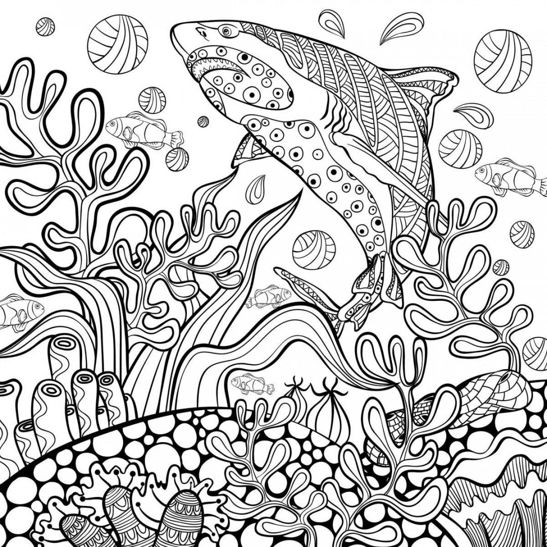 Adult Coloring Book Set - Into the Jungle, Under the Sea, Up in