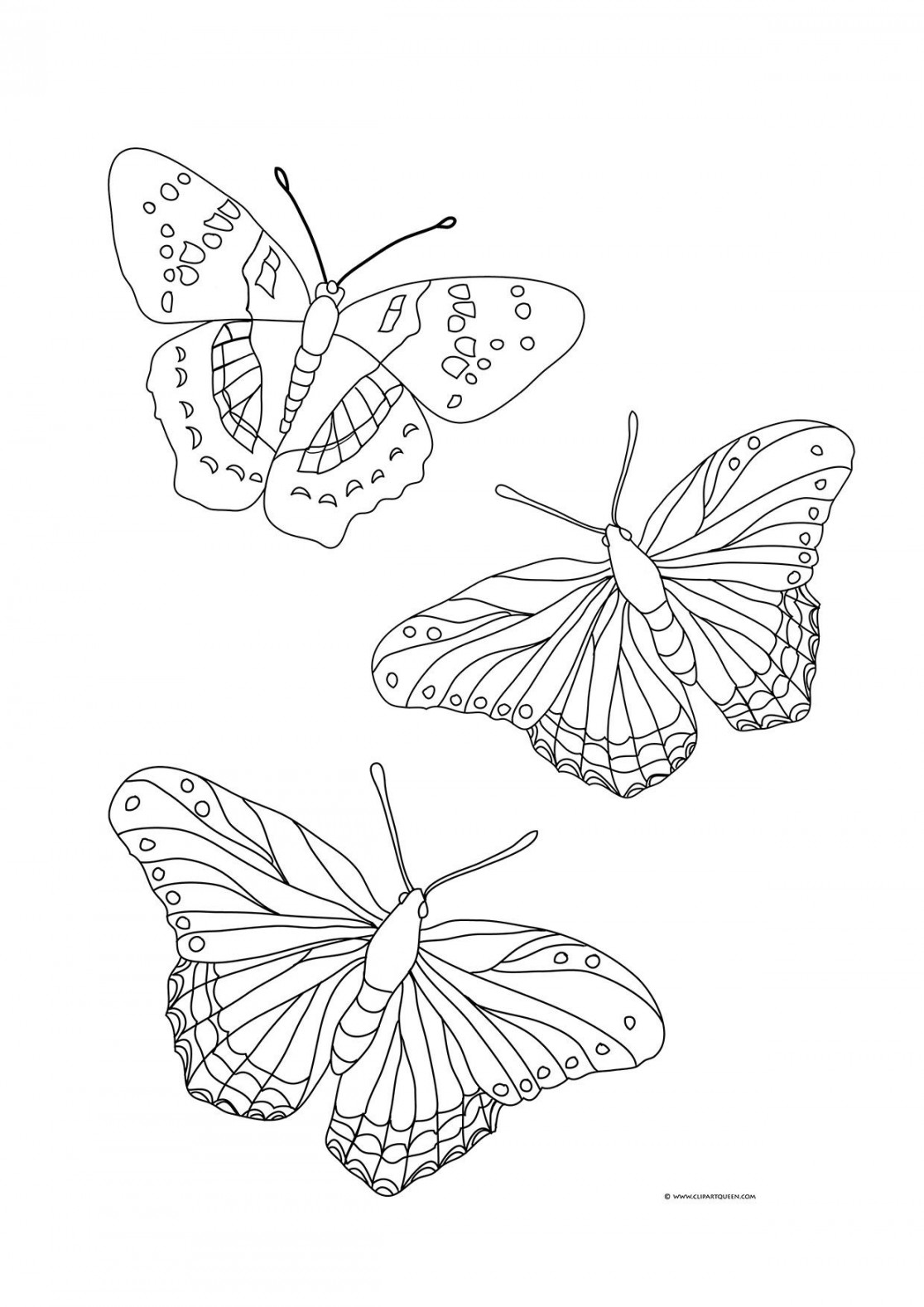 + Amazing Photo of Butterflies Coloring Pages - davemelillo