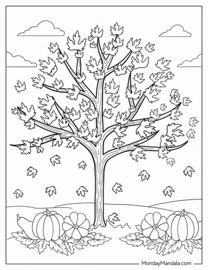 Autumn & Fall Coloring Pages (Free PDF Printables)