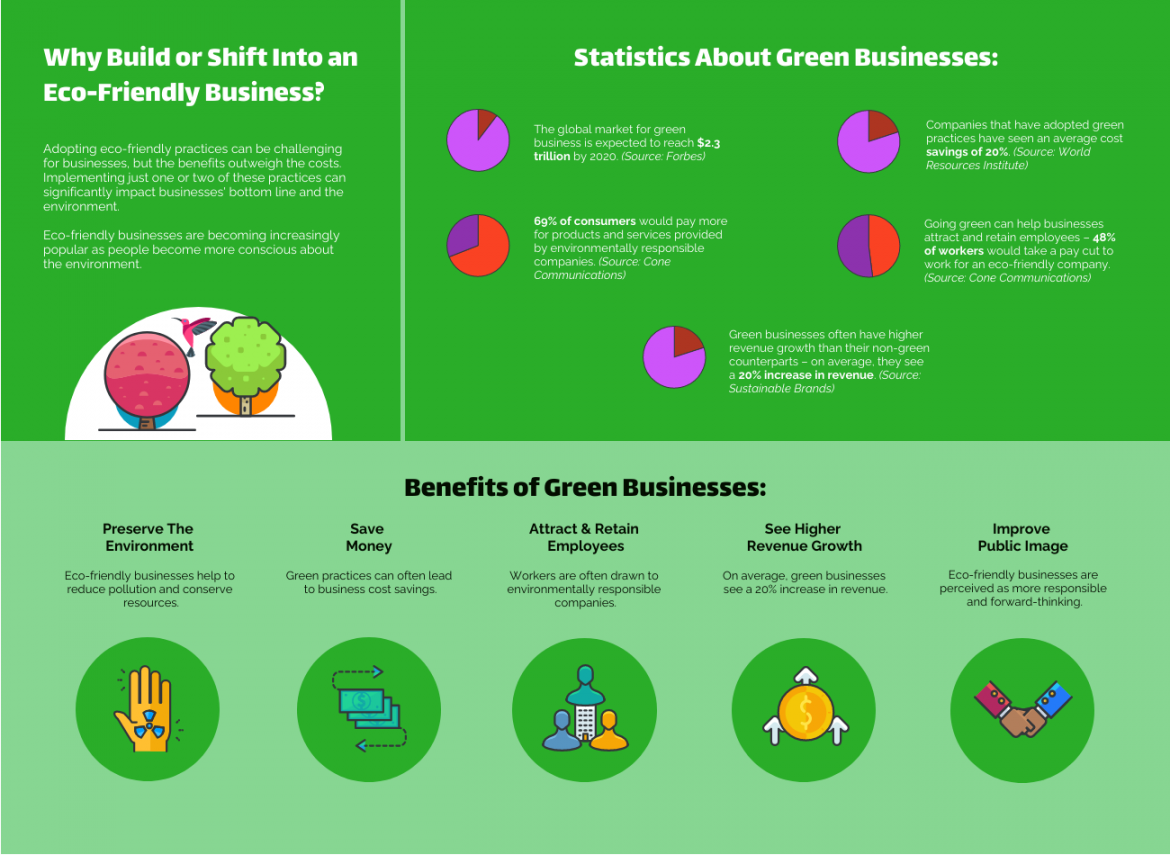 Bio Infographic Template - Venngage