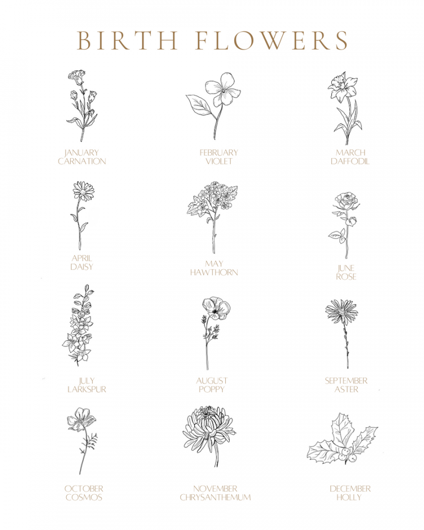 Birth Month Flower Printable — Seed&SoilShop