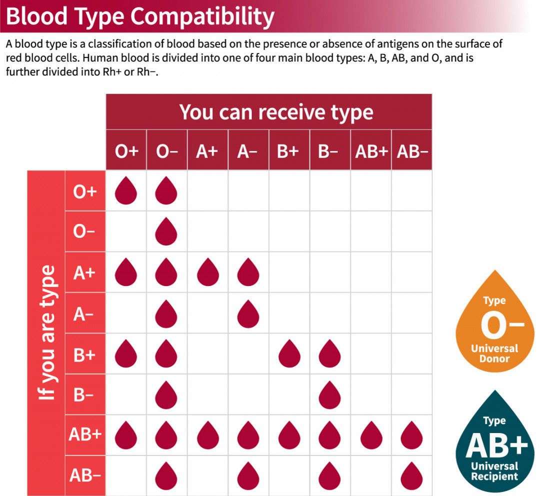 Blood Type Compatibility Chart — Stanford Blood Center