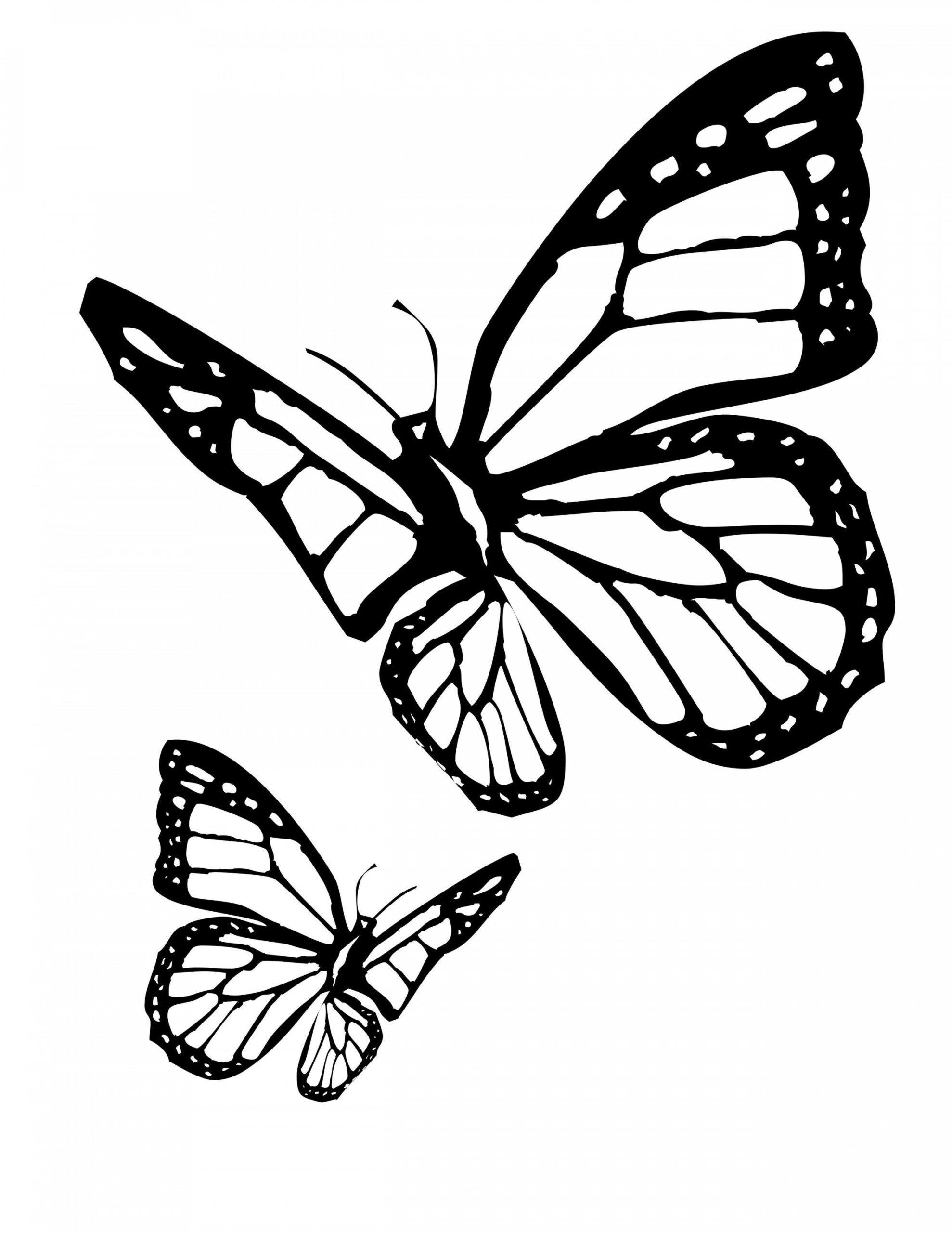 Butterfly Coloring Pages  Butterfly coloring page, Butterfly