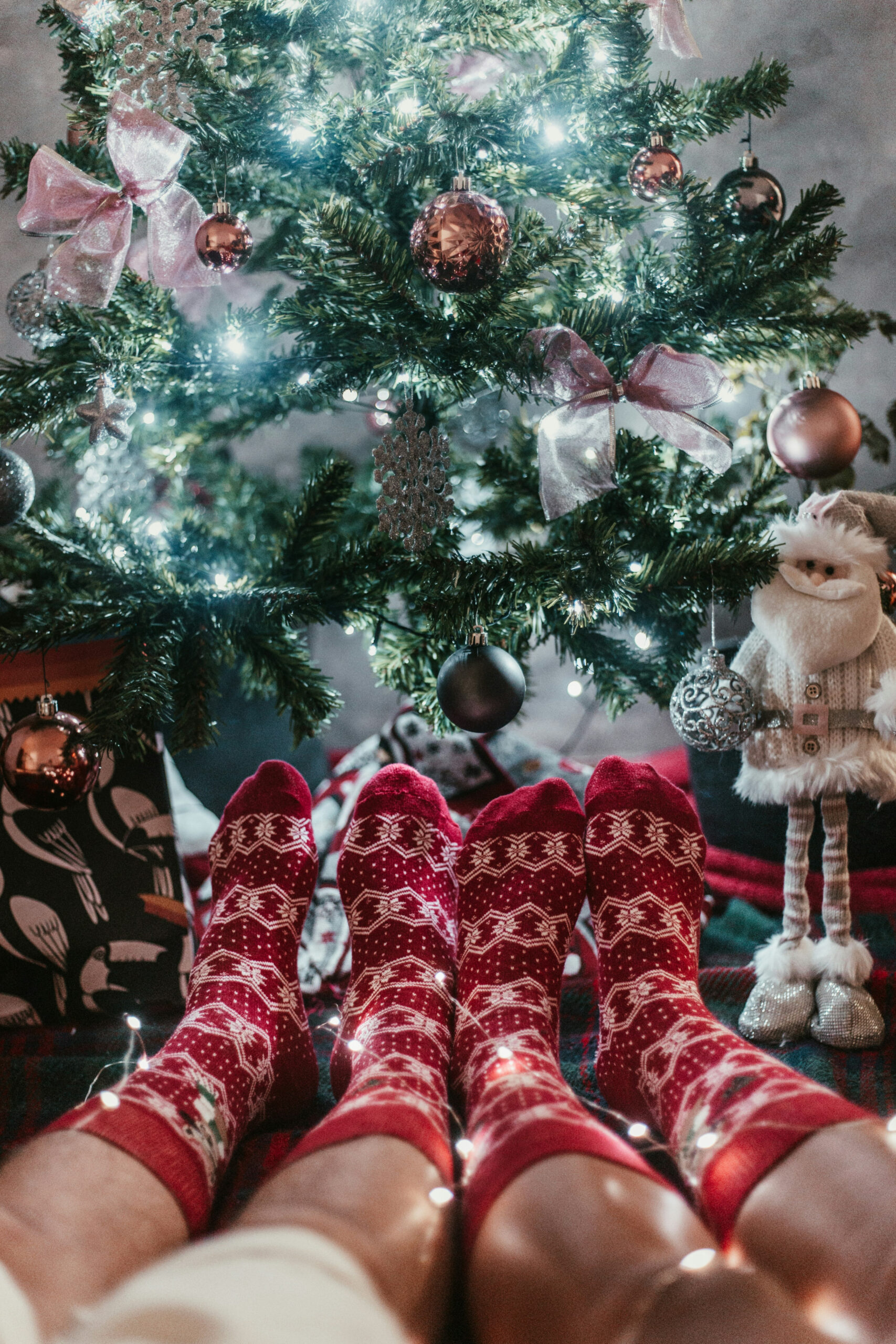 Christmas Couple Pictures  Download Free Images on Unsplash