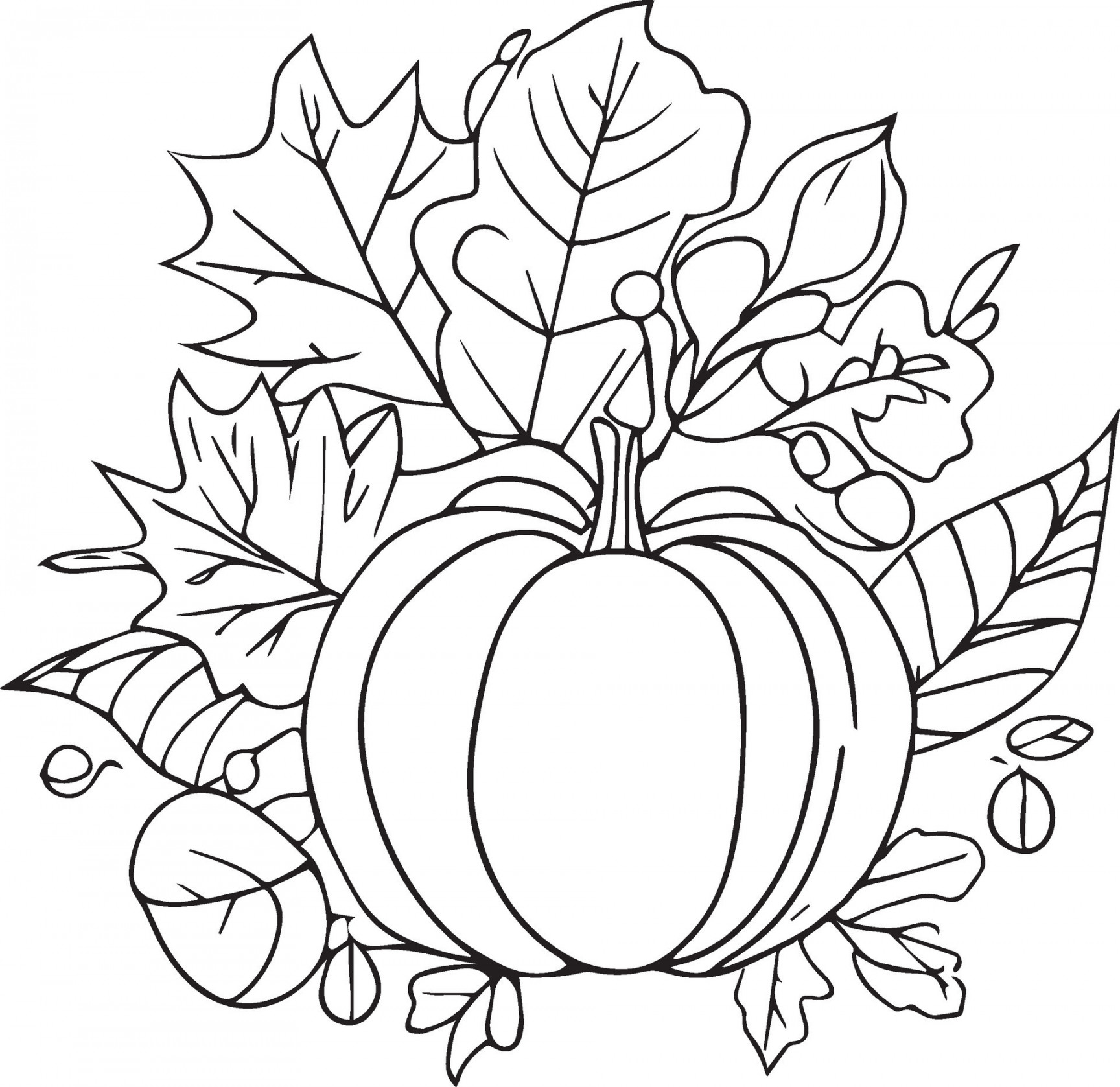 coloring book for adults. autumn coloring. coloring book