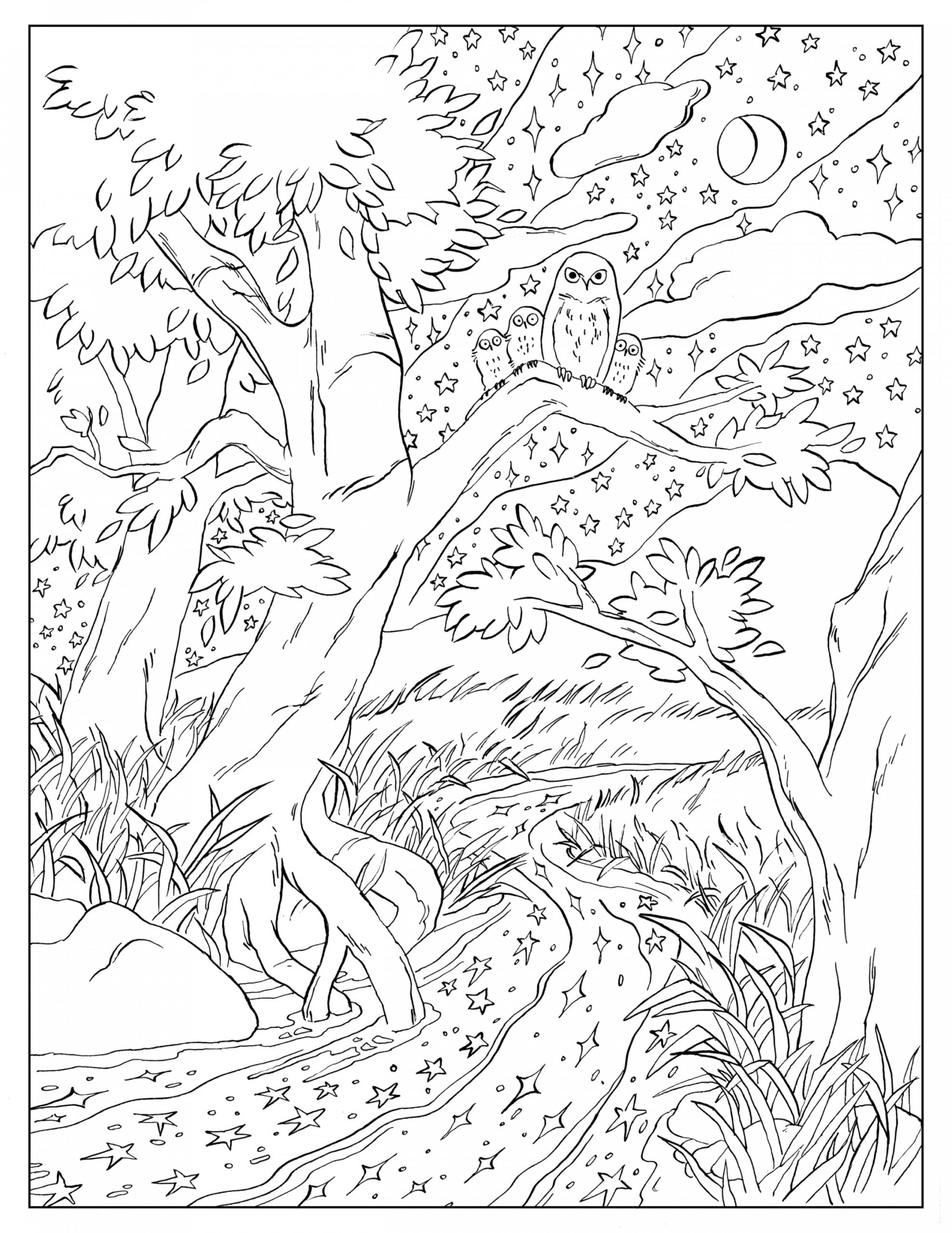 Coloring Pages - Susan Katz Miller