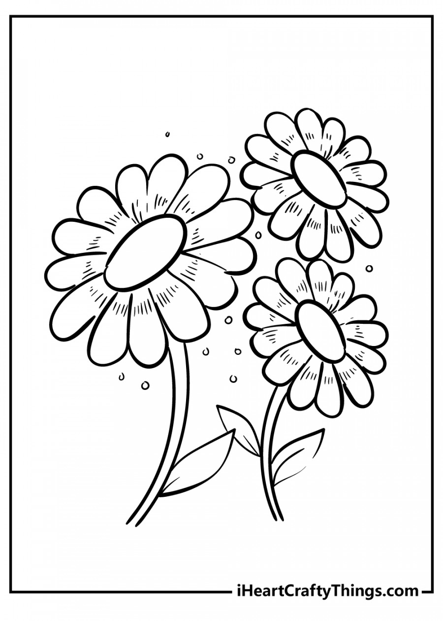 Daisy Coloring Pages (% Free Printables)