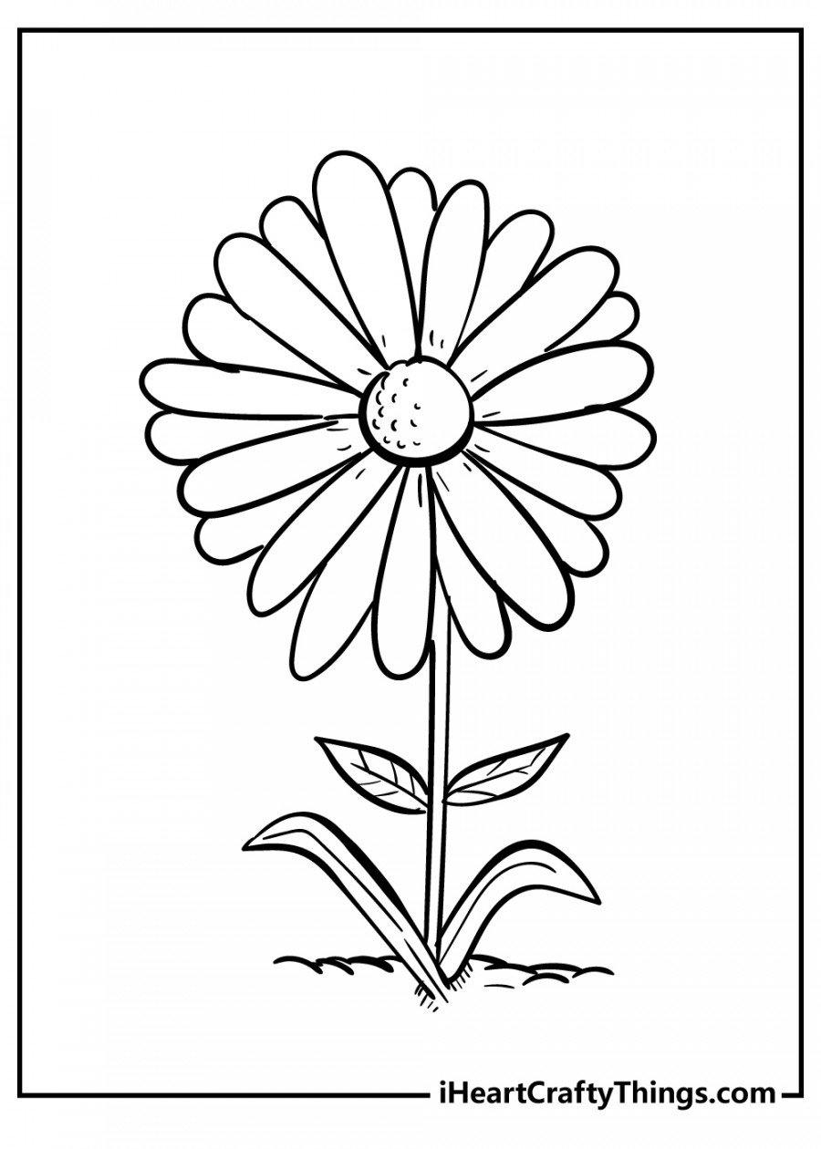 Daisy Coloring Pages (% Free Printables)