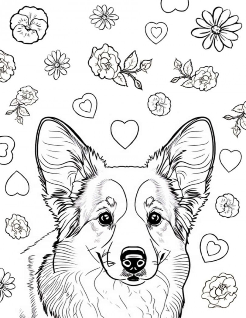 +] Dog Coloring Pictures  Wallpapers