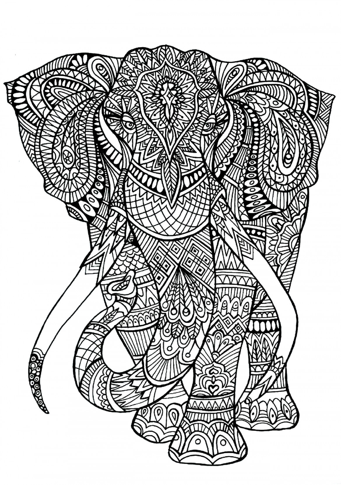 Elephant patterns - Elephants Adult Coloring Pages