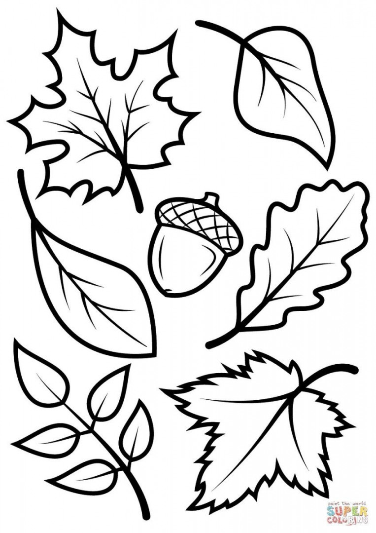 Fall Coloring Pages For Kids Fall Leaves And Acorn Coloring Page