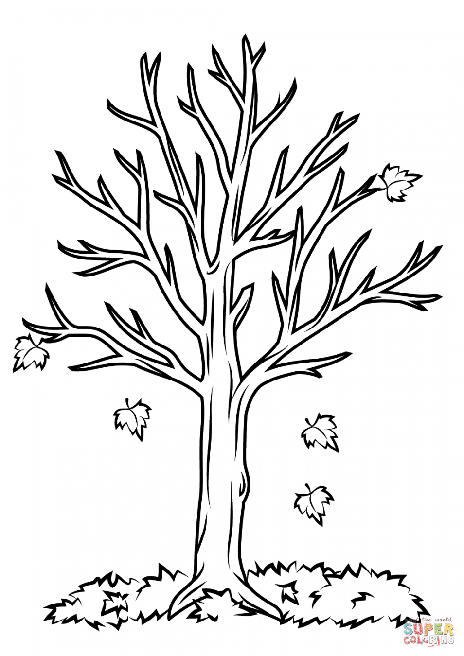 Fall Tree coloring page  Free Printable Coloring Pages