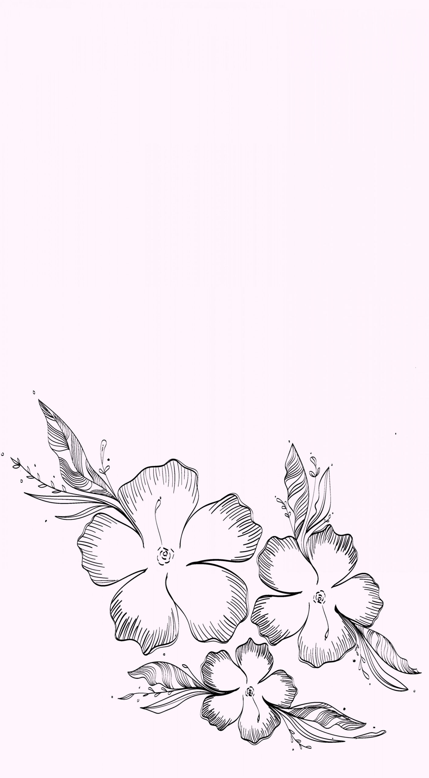 flower blooming wallpaper iphone  Iphone wallpaper drawing