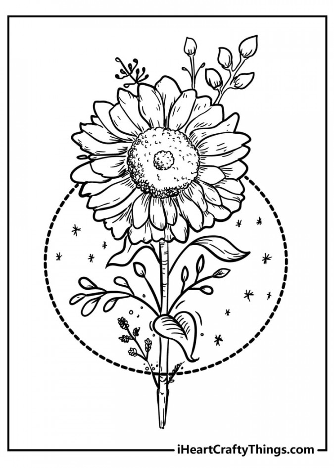 Flower Coloring Pages (% Free Printables)