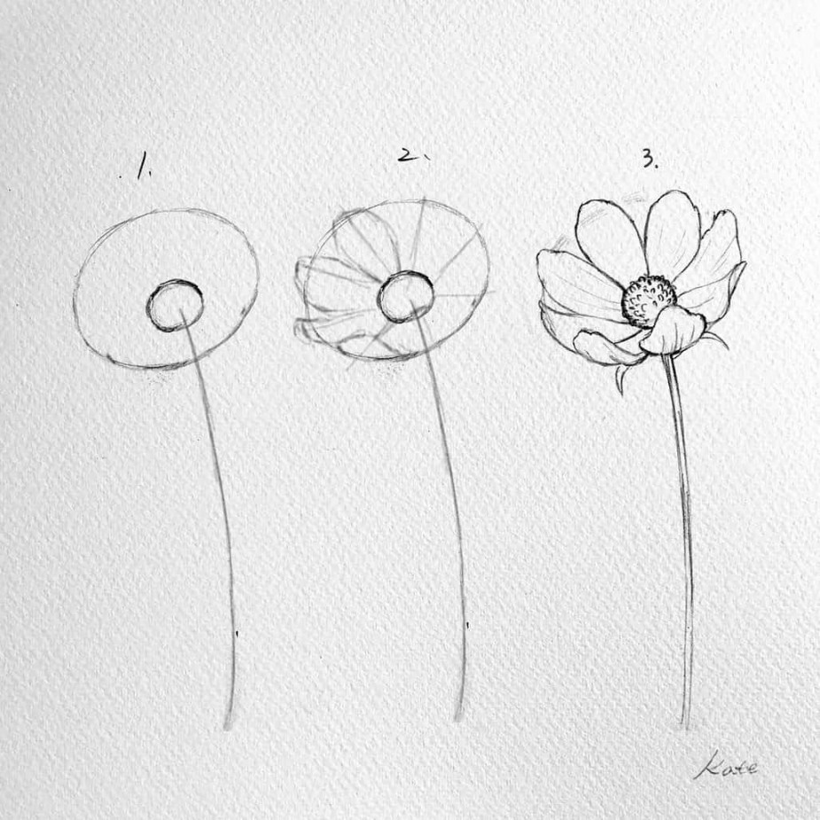 Flower Drawing: Draw an easy flower step-by-step tutorial - Feature