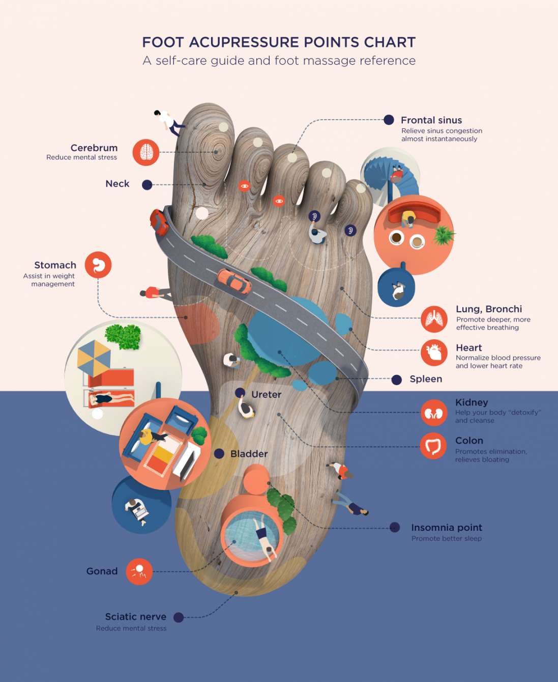 Foot Acupressure Points Chart: A Self-Care and Foot Massage