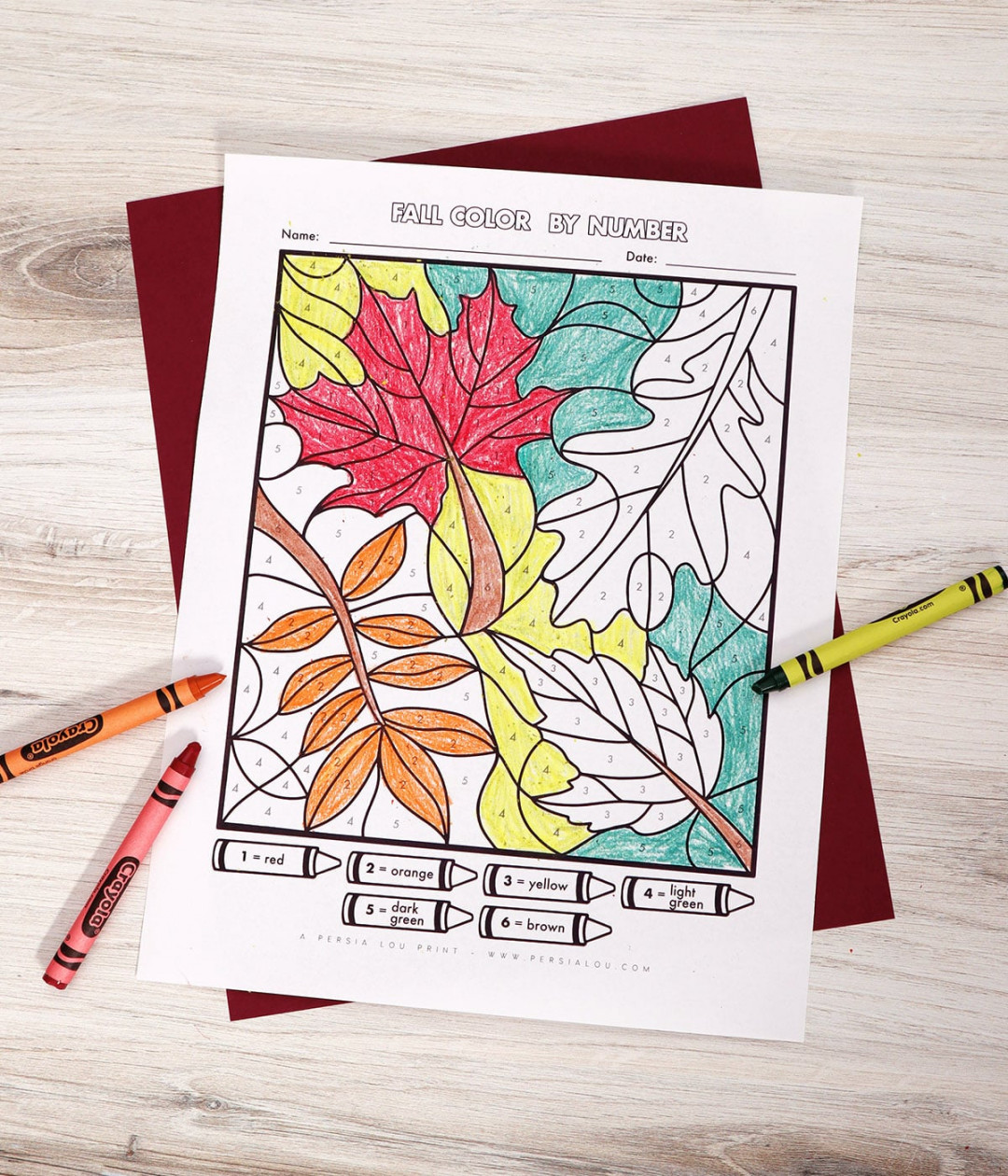 Free Fall Color by Number: Fall Leaves Printable Coloring Page