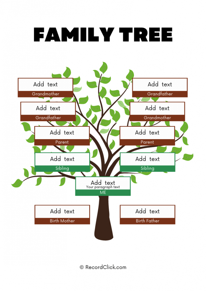 Free Family Tree Templates - Printable / Downloadable