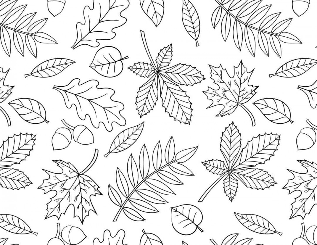 FREE Printable Fall Coloring Pages  Skip To My Lou