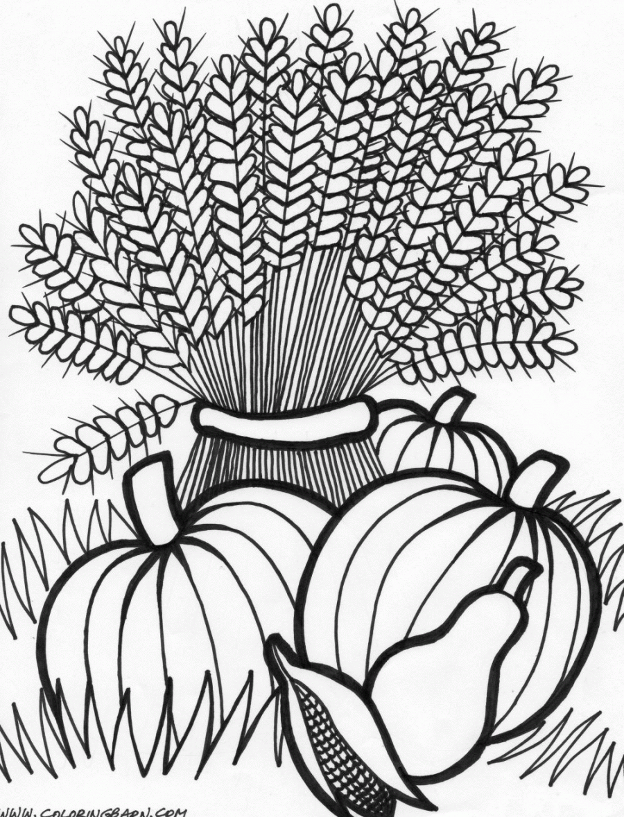 Free Thanksgiving Coloring Pages  Fall coloring pages