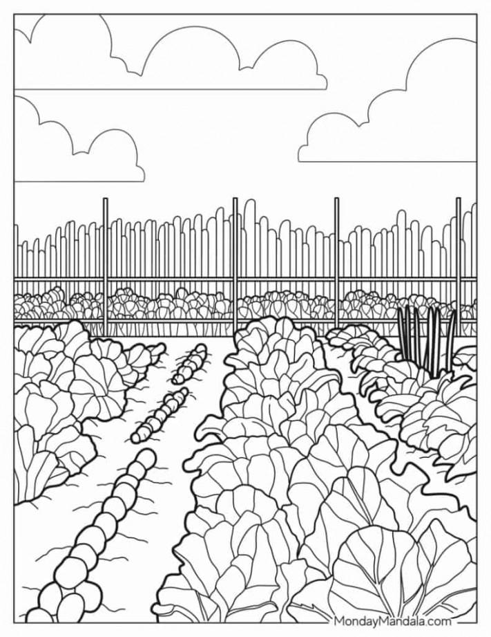 Garden Coloring Pages (Free PDF Printables)