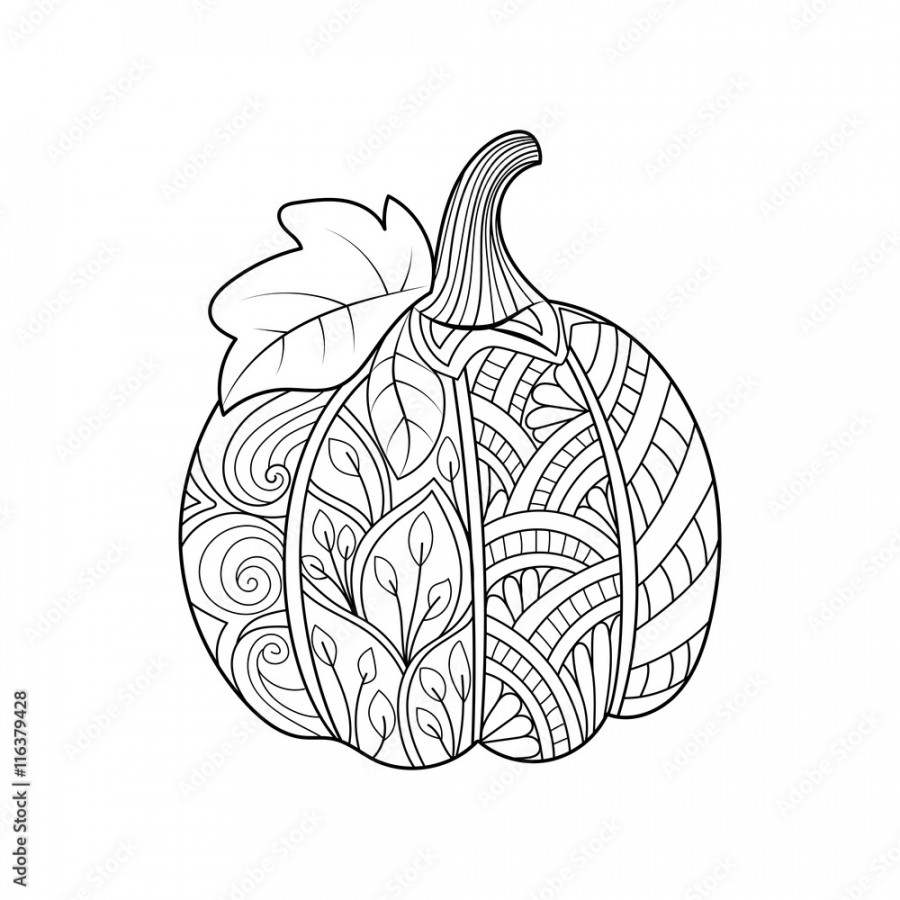 Hand drawn pumpkin. for Thanksgiving day, Halloween