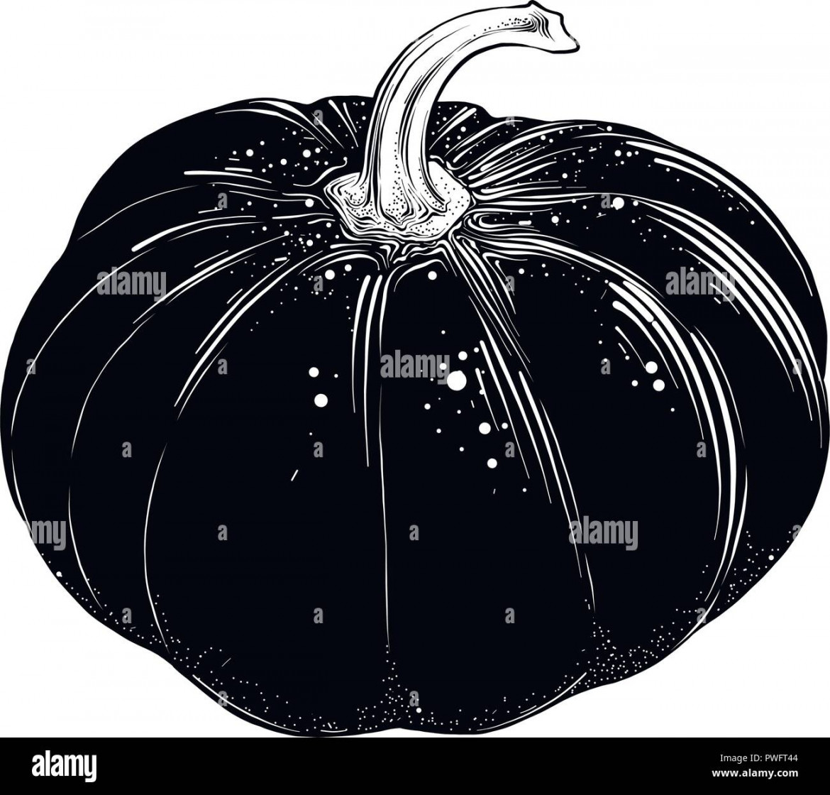 Hand drawn sketch of pumpkin in black isolated on white background