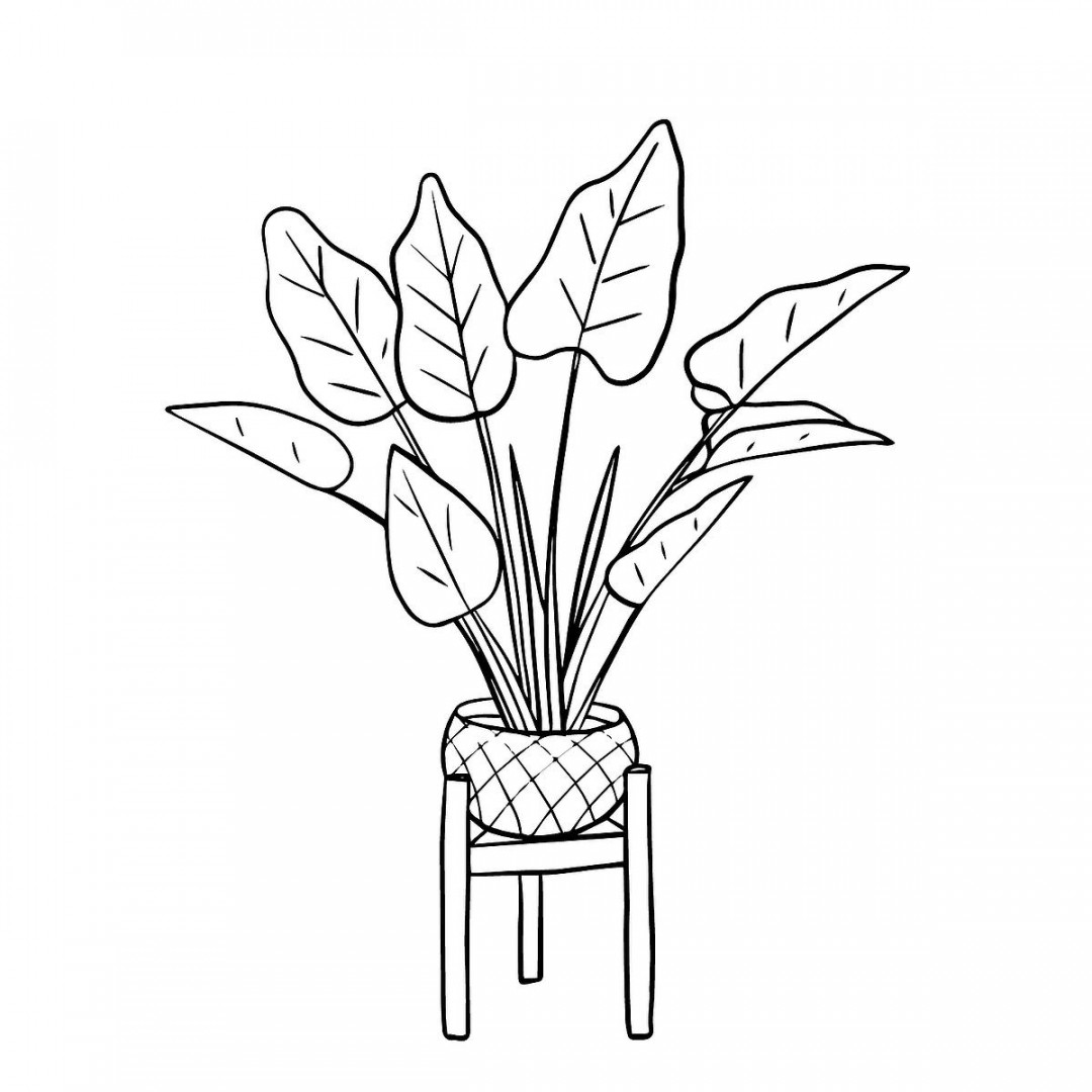 Houseplants Coloring Pages: Free Printable Coloring Pages of