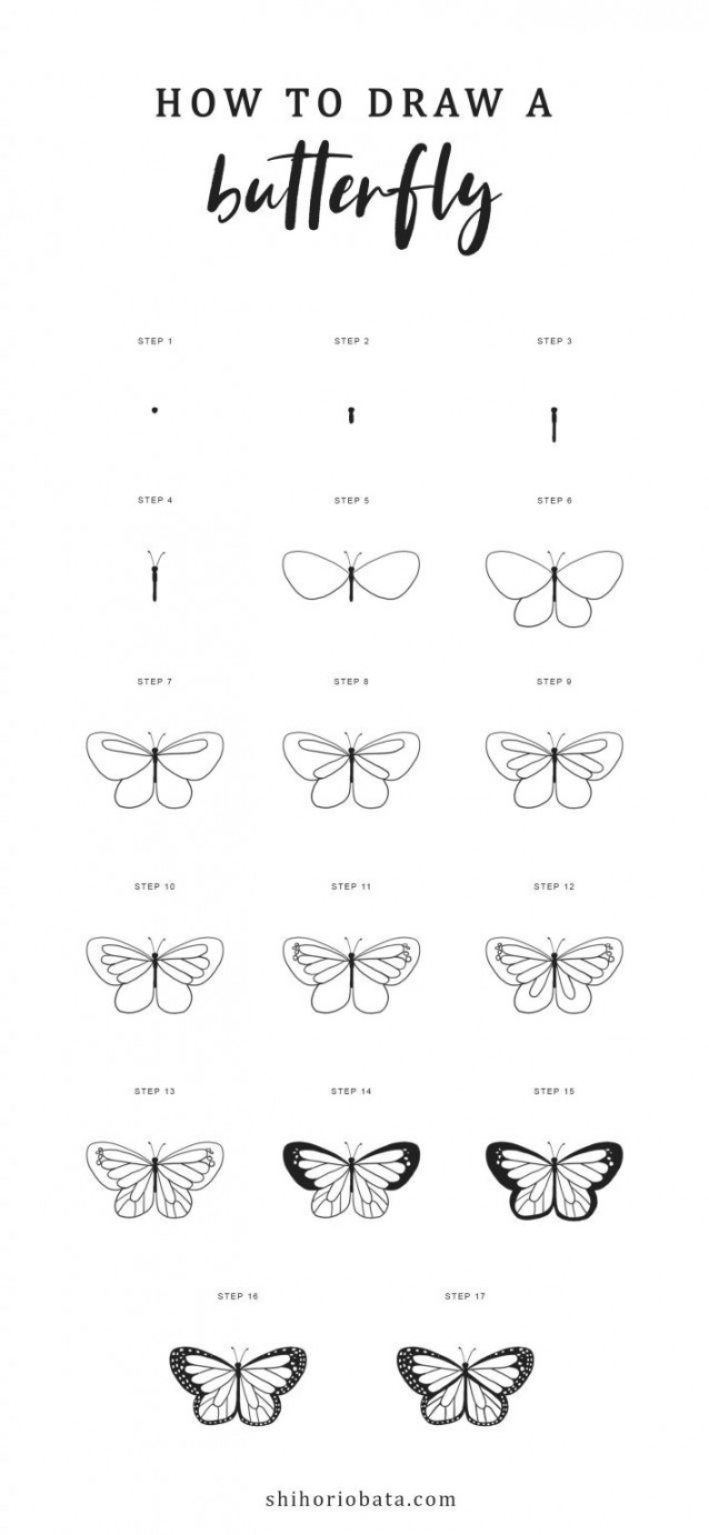 How to Draw a Butterfly: Easy Step by Step Tutorial  Butterfly