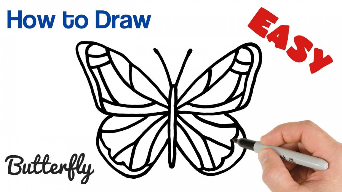 How to Draw a Butterfly easy step by step