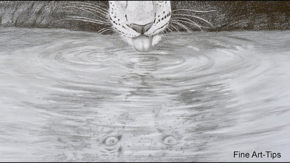 How to Draw a Reflection on Water - A Leopard Drinking Water