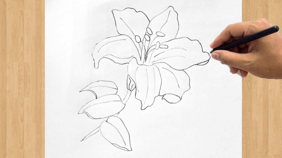 How to Draw an Orchid Flower  Easy Step by Step Orchid Drawing Tutorial  for Beginners