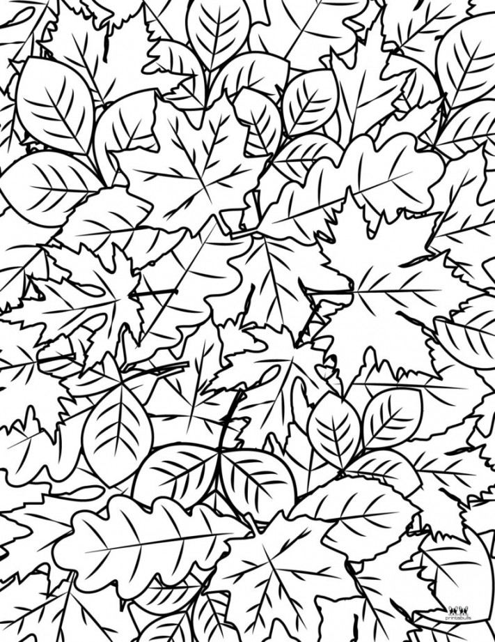 Leaf Outlines, Templates & Coloring Pages -  FREE Pages