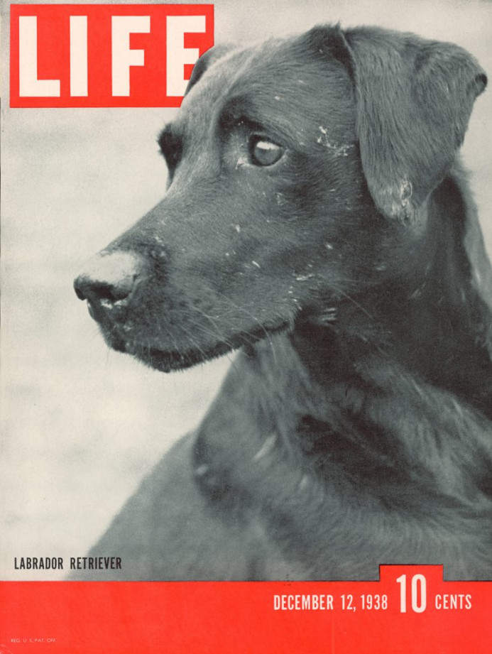 LIFE Magazine