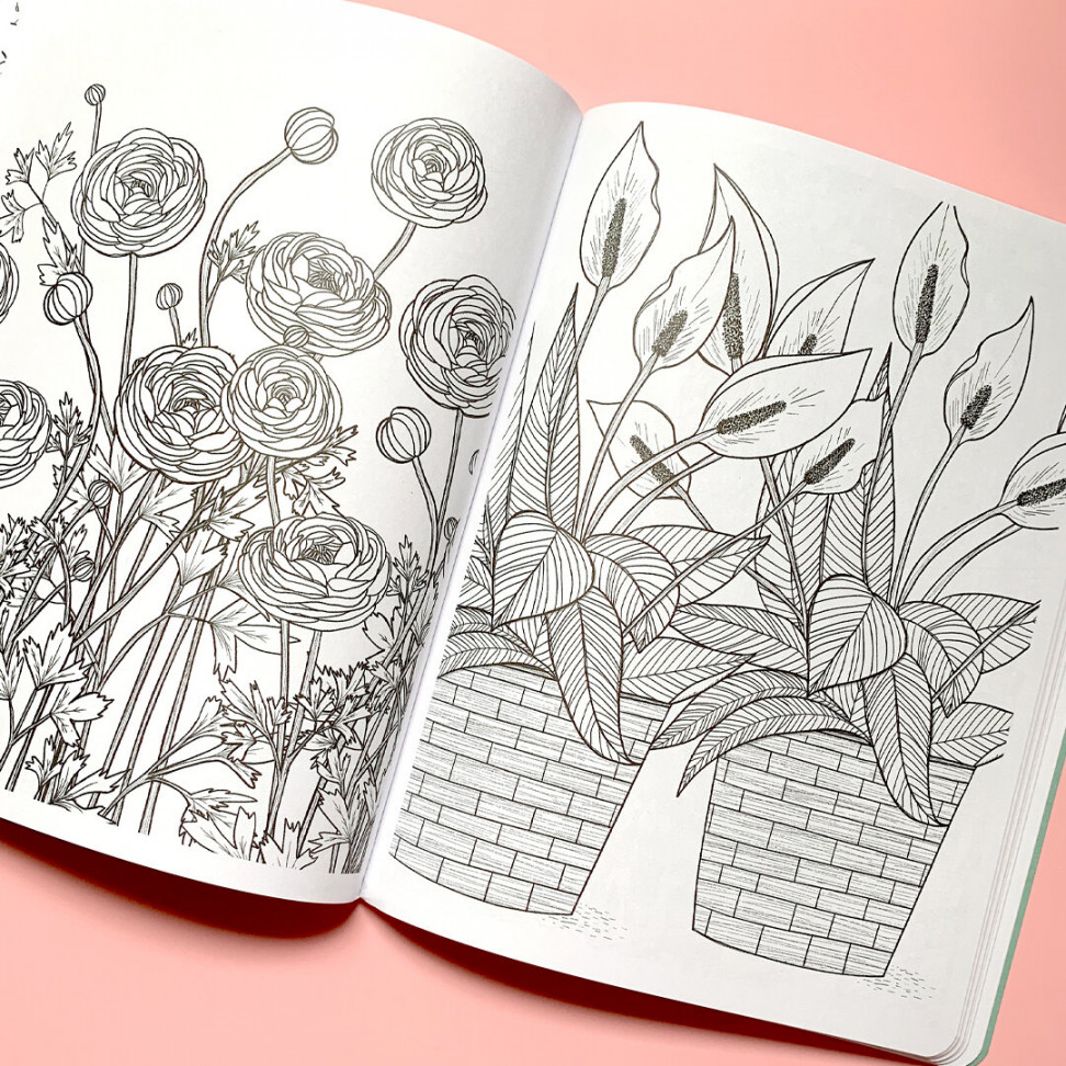 Life with Plants — Katie Vaz