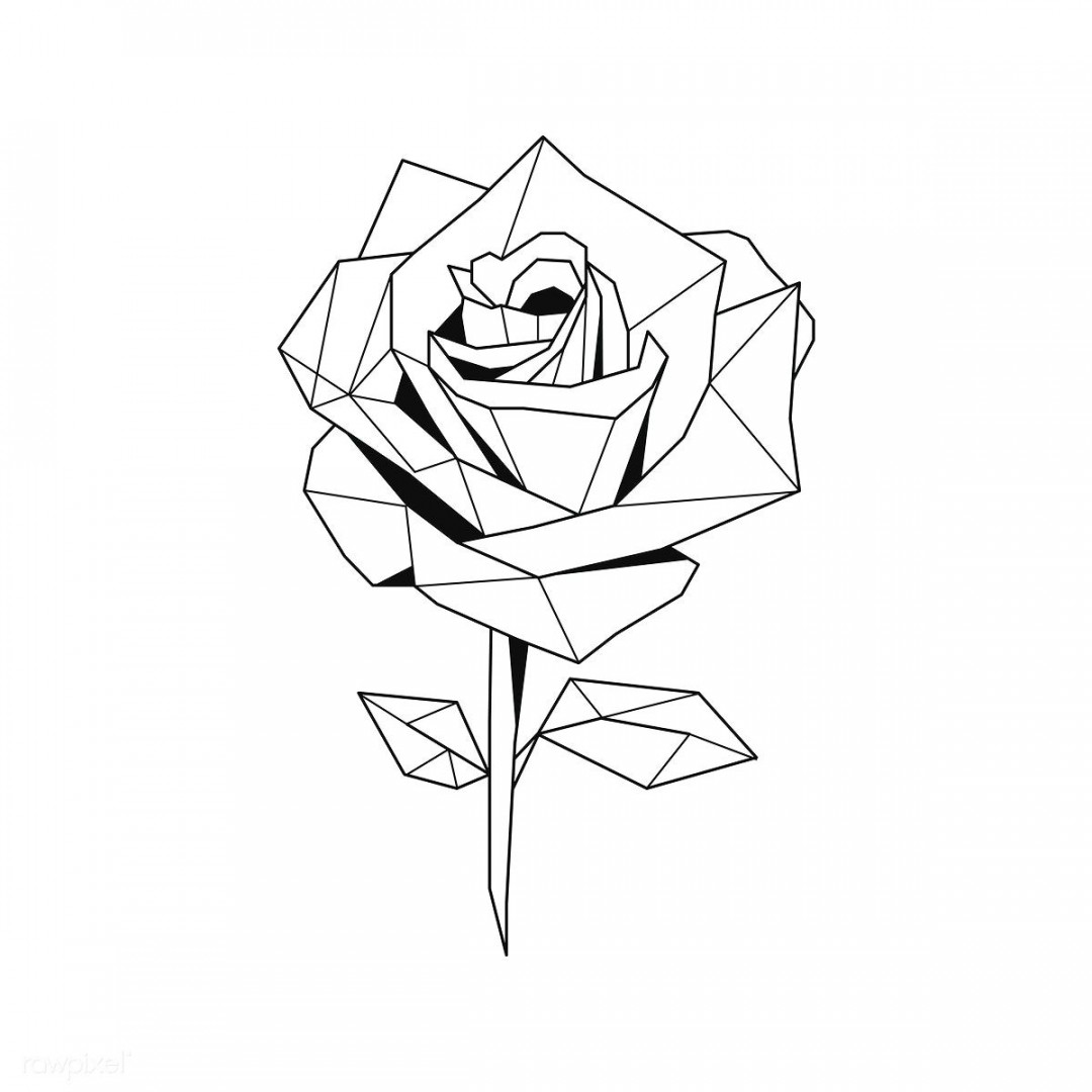 Linear illustration of a rose flower  premium image by rawpixel