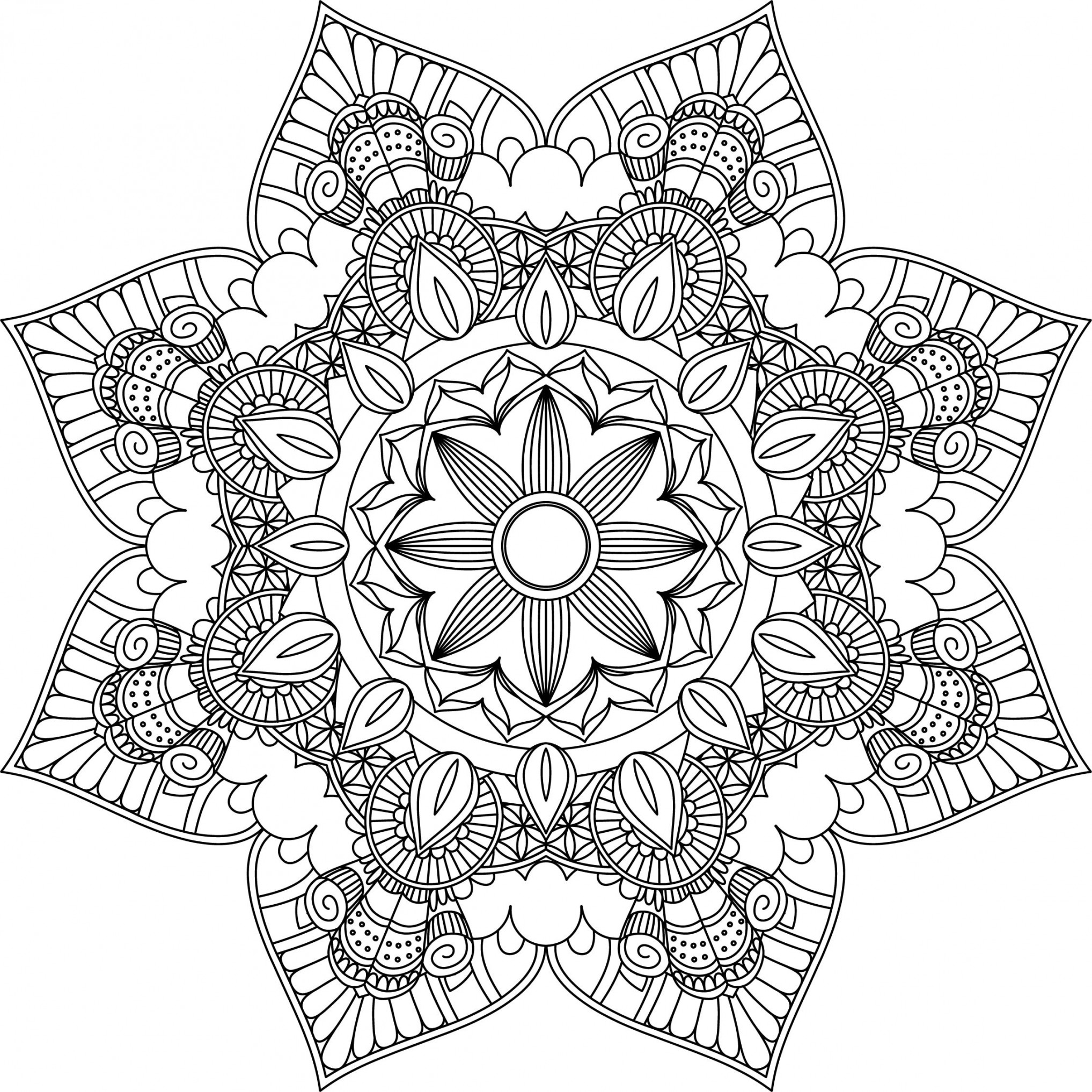 Mandala Coloring Pages Adult Coloring Sheet Printable - Etsy