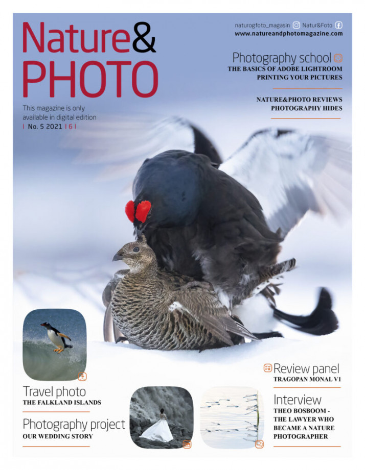 Nature and Photo Magazine – – A digital magazine for wildlife