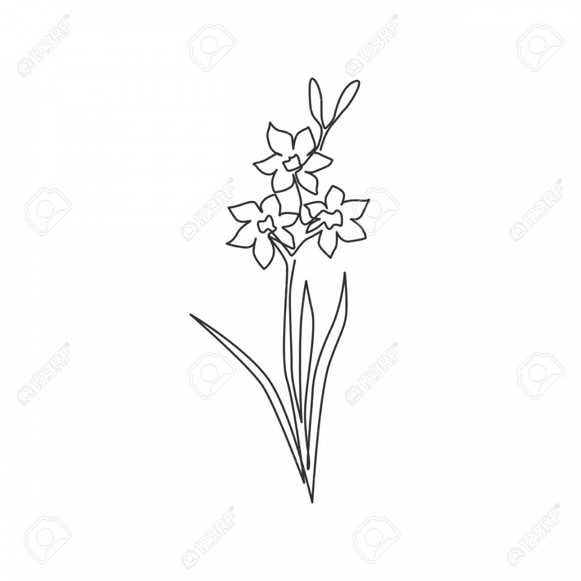 One Continuous Line Drawing Beauty Fresh Narcissus Of Garden Logo