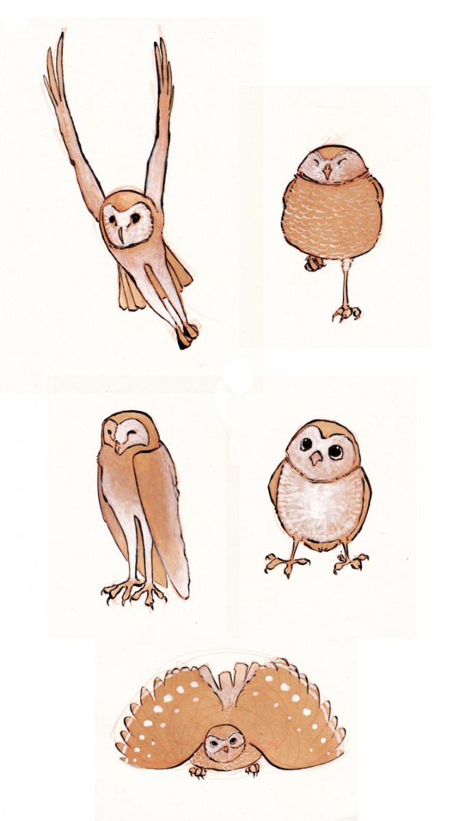 Owls by CheiftainMaelgwyn on deviantART  Owl, Owl doodle