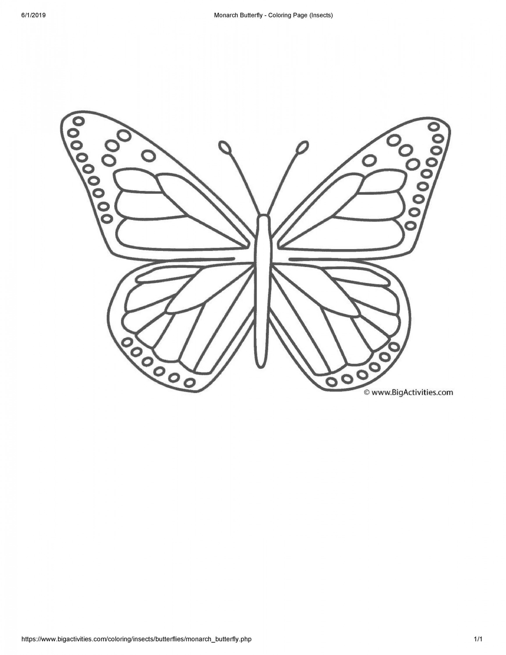 Printable & Cut Out Butterfly Templates 🦋 ᐅ TemplateLab