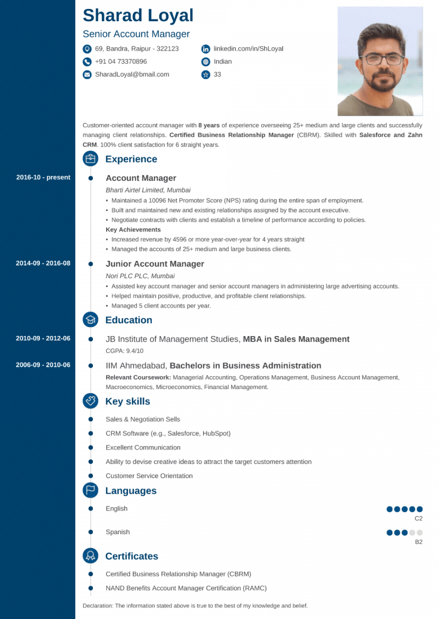 + Professional CV Templates: Curriculum Vitae to Download