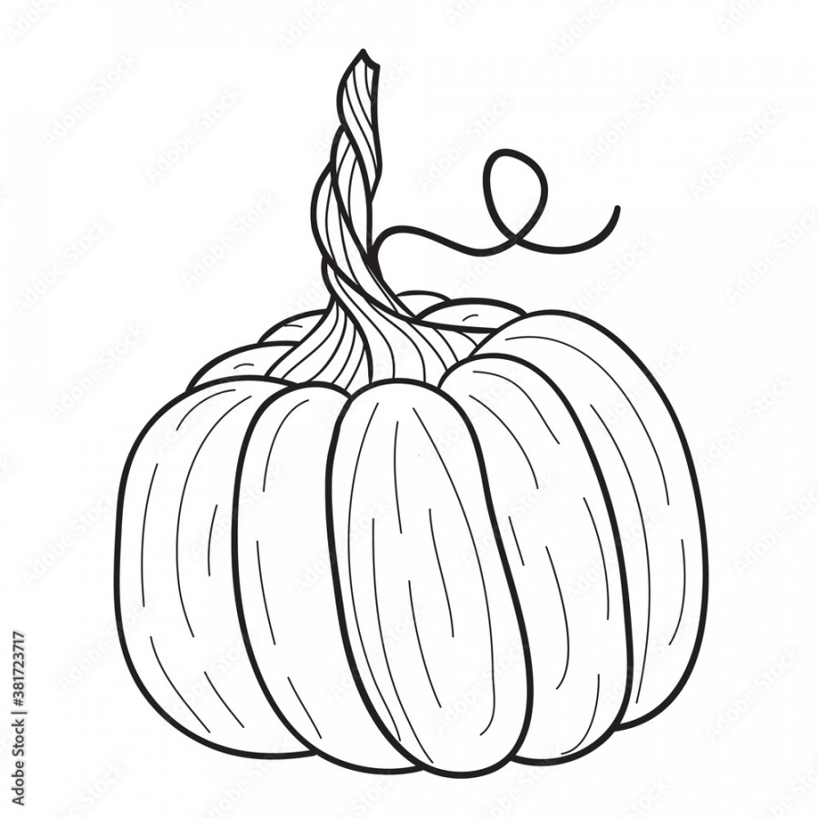 Pumpkin for coloring book