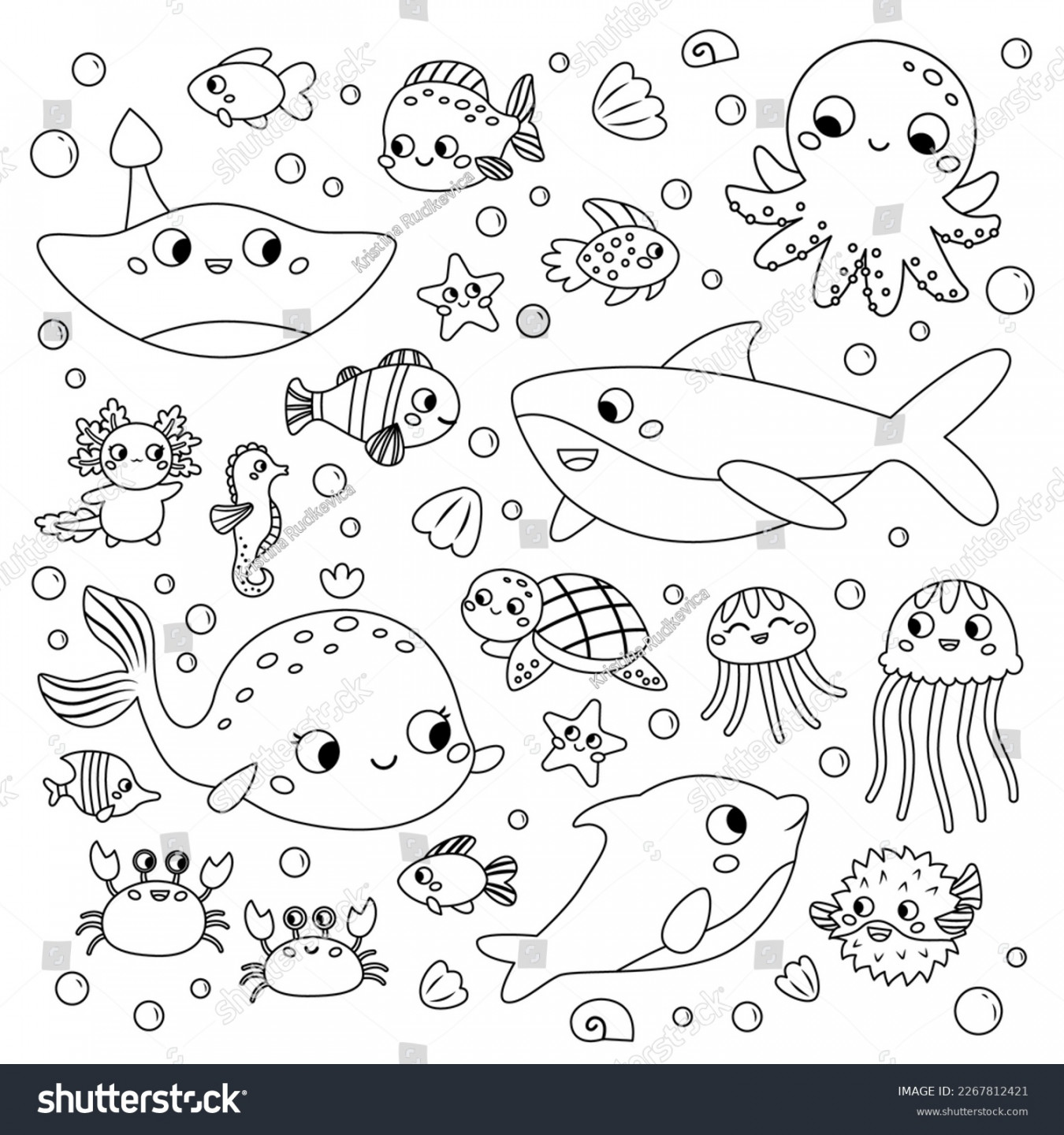 , Sea Animals Outline Images, Stock Photos, D objects