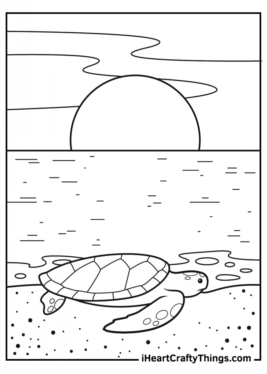 Sea Turtle Coloring Pages (% Free Printables)