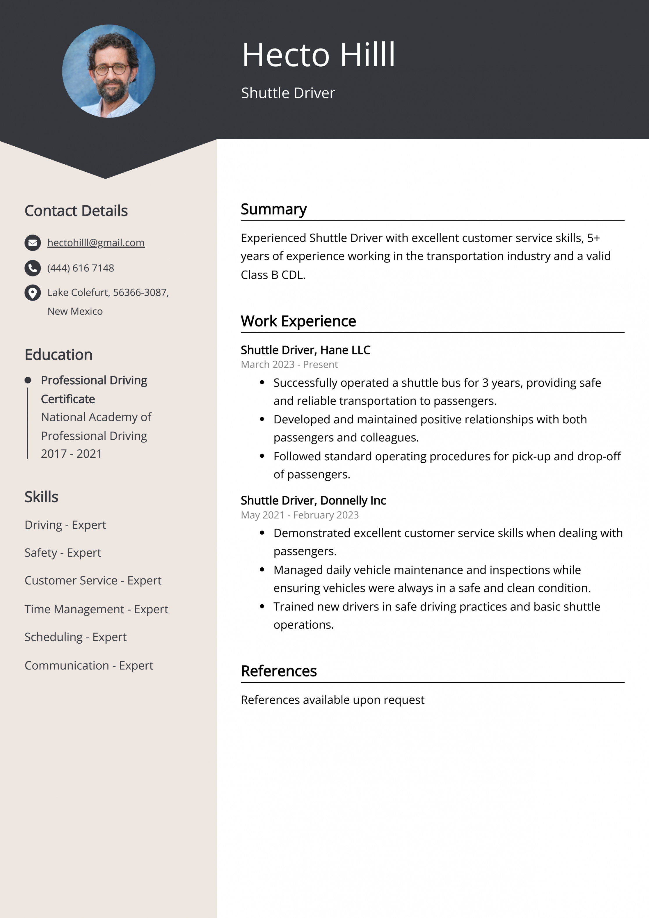 Shuttle Driver CV Examples (Template & + Tips)